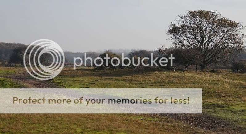 Fotografie