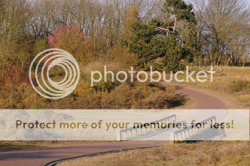 Fotografie