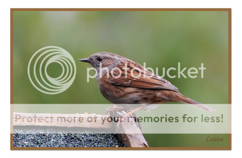 Fotografie