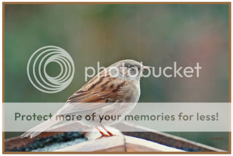 Fotografie