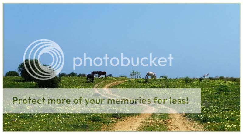 Fotografie