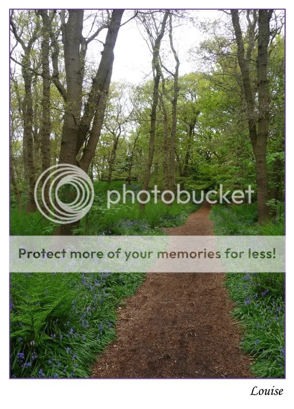 Fotografie