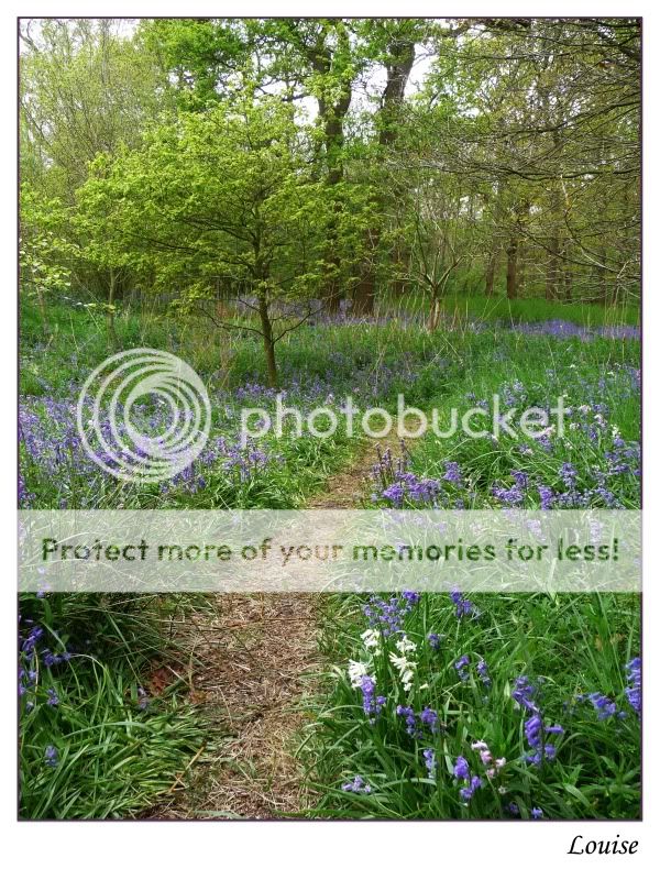 Fotografie