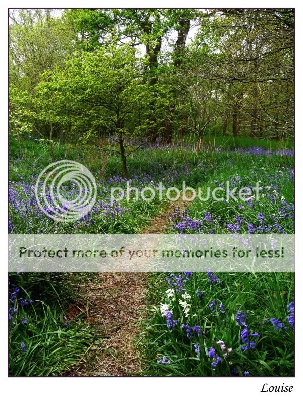 Fotografie