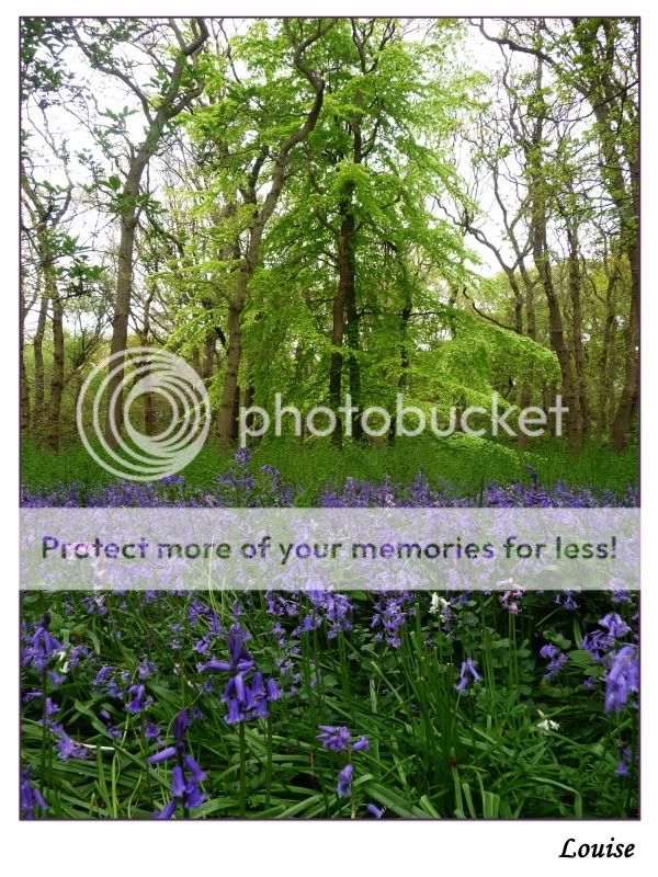 Fotografie