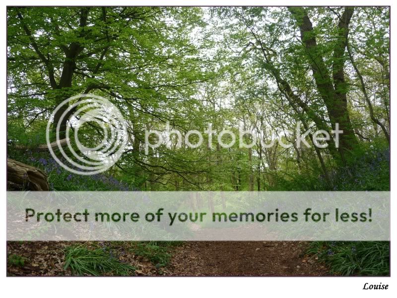 Fotografie
