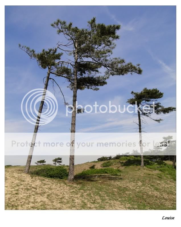 Fotografie