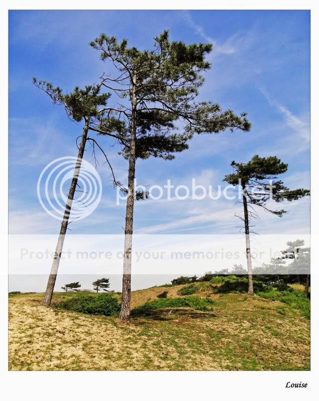 Fotografie