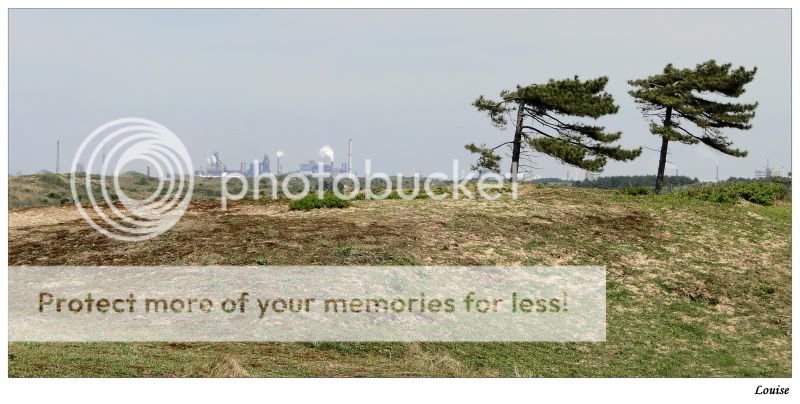 Fotografie