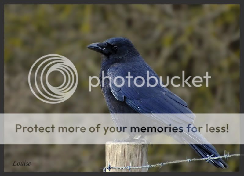 Fotografie