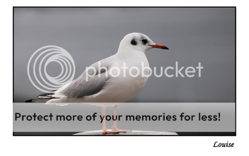 Fotografie
