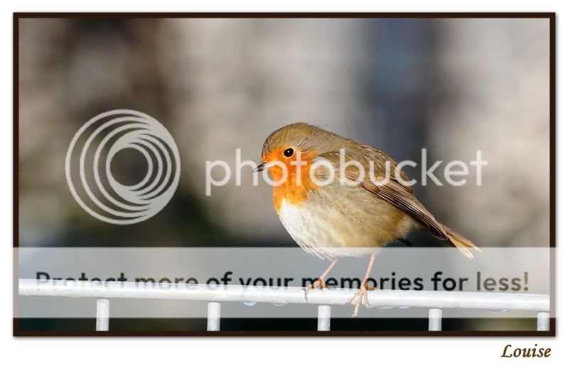 Fotografie