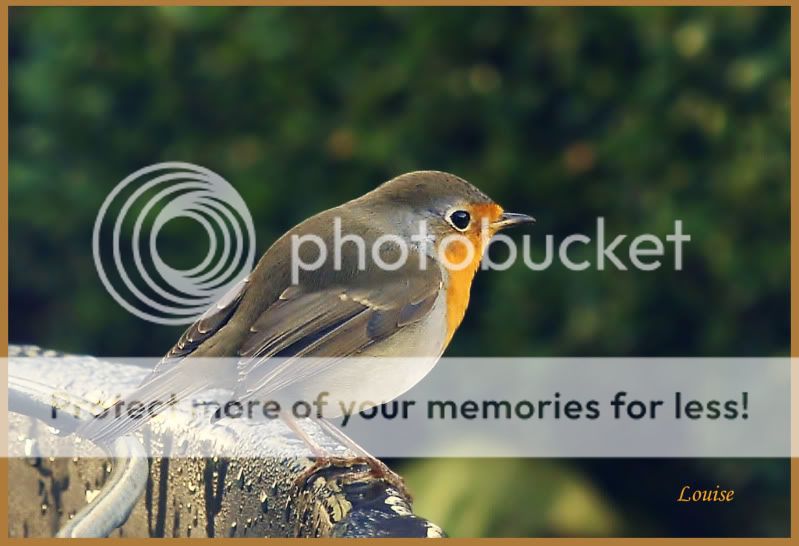 Fotografie