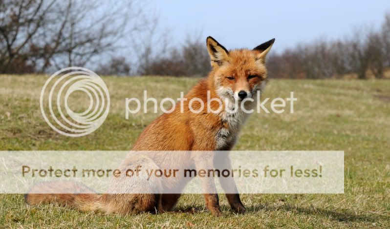 Fotografie