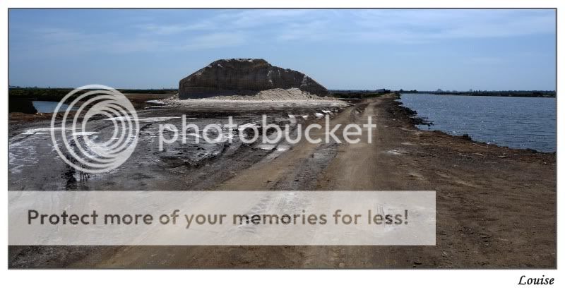 Fotografie