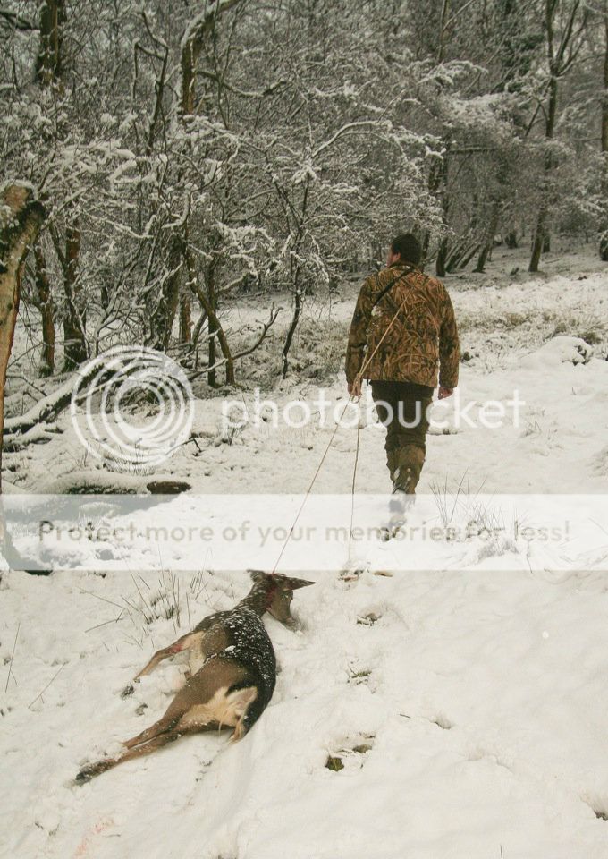 IMAGE: http://i675.photobucket.com/albums/vv112/dratsea/file-73a_zps2f2c7b0b.jpg