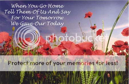 poppy_zps528cc314.jpg