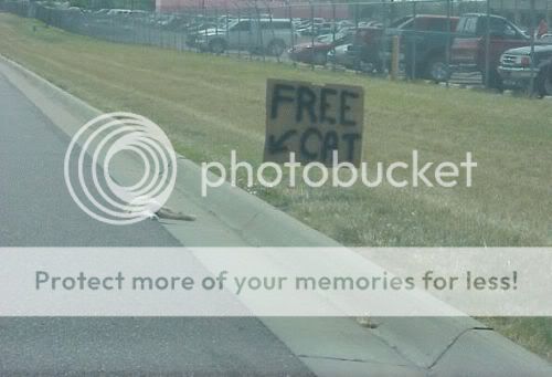 funny-sign-free-dead-cat-on-highway.jpg