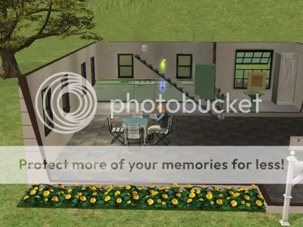 snapshot_788600cb_5886b3dc.jpg