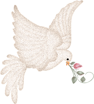 Dove