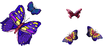Butterflies Circuling