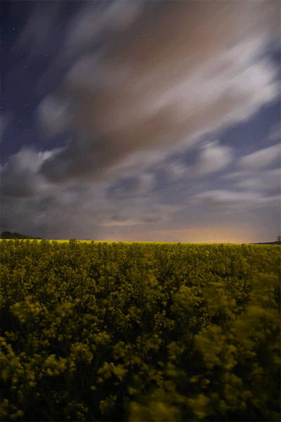 photo c3a38cee.gif