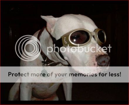 JoxerTheMighty