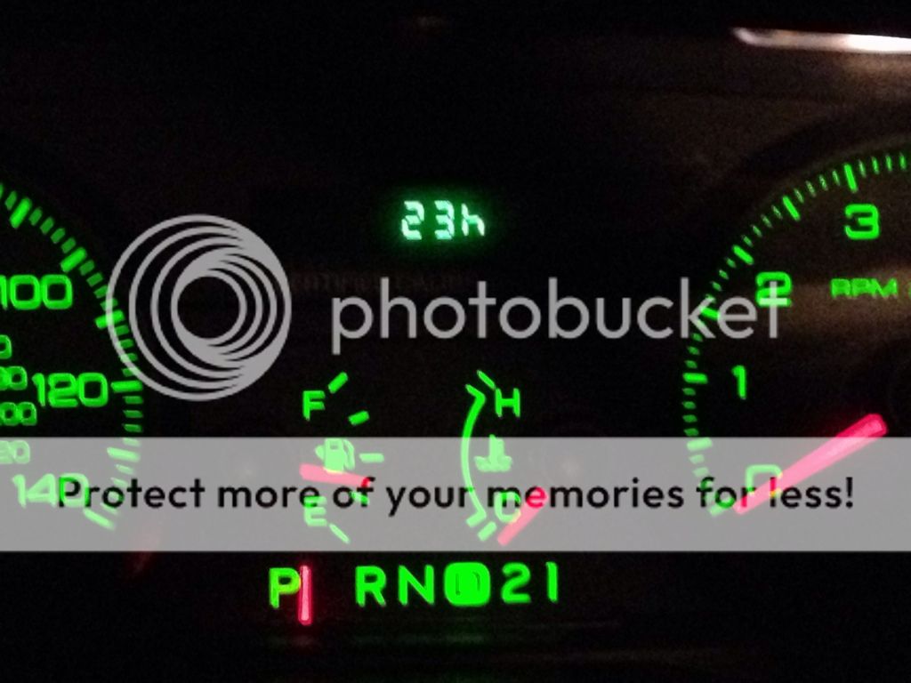 Show us your idle hours Lizard Lounge